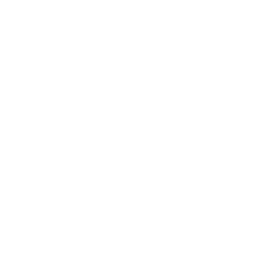 LinkedIn Media Icon